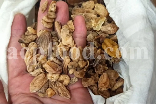 Salep for sale. Buy pure Sahlep. Orchis mascula for sale. Orchis maculata wholesale price. Early Purple Orchid for sale.