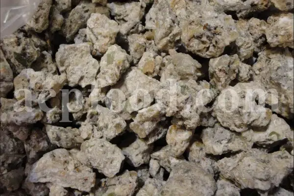 Bulk Purgative Manna for sale. Buy Purgative Manna. Purgative Manna wholesale price. Buy Shir Khesht. Bulk Shir Khesht.