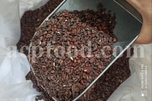 Quince seeds for sale. Bulk Bahi Dana seeds. Cydonia oblonga seeds wholesale price. Buy Quince fruit seeds. Beh Daneh purchase.