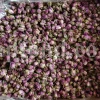The best quality Rosa damascena buds for sale. Damascena Rose wholesale price. Buy Damascina Rose. Bulk Rosa Damask buds and petals. Wholesale R Damascena. Damask Rose purchase.