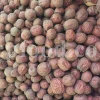 Buy Chinese Red Dates. Buy dried Jujube. Chinese Red Dates where to buy. Bulk dried Jujube. Chinese Red Dates near me. red dates here to buy.