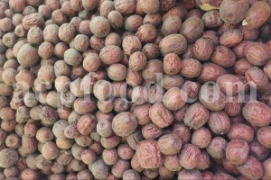 Buy Chinese Red Dates. Buy dried Jujube. Chinese Red Dates where to buy. Bulk dried Jujube. Chinese Red Dates near me. red dates here to buy.