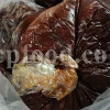 Buy Asafetida Hing. Ferula assa gum for sale. Hing wholesale price. Best quality Asafoetida. Kokh Asafetida for sale.