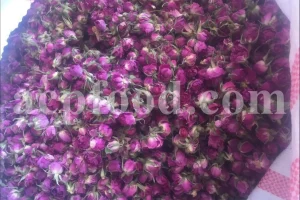 The best quality Rosa damascena buds for sale. Damascena Rose wholesale price. Buy Damascina Rose. Bulk Rosa Damask buds and petals. Wholesale R Damascena. Damask Rose purchase.
