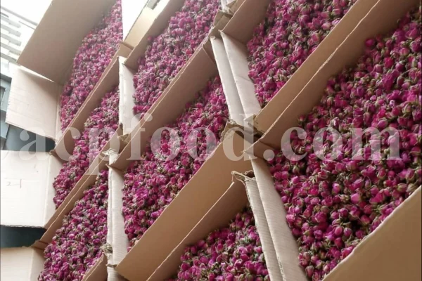 The best quality Rosa damascena buds for sale. Damascena Rose wholesale price. Buy Damascina Rose. Bulk Rosa Damask buds and petals. Wholesale R Damascena. Damask Rose purchase.