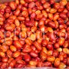 Euphoriant Herbs and Fruits