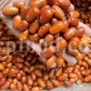 Russian Olives for sale. Elaeagnus angustifolia for sale. Buy Russian Olive. Buy Senjed. Bulk dried Oleaster for sale.