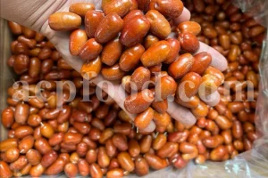Russian Olives for sale. Elaeagnus angustifolia for sale. Buy Russian Olive. Buy Senjed. Bulk dried Oleaster for sale.