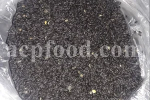 Basil seeds for sale. Holy Basil seeds for sale. Bulk Lime Basil seeds. Falooda seeds wholesale price. Buy Thai Basil seeds. Ocimum basilicum seeds wholesale price.
