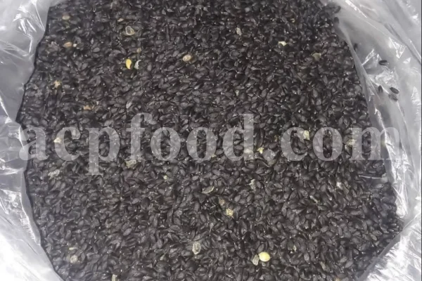Basil seeds for sale. Holy Basil seeds for sale. Bulk Lime Basil seeds. Falooda seeds wholesale price. Buy Thai Basil seeds. Ocimum basilicum seeds wholesale price.