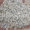 safflower seeds for sale