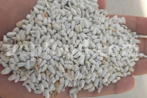 High quality bulk Safflower for sale. Buy Carthamus tinctorius dried petals. Bulk safflower seeds. Carthamus Orange wholesale price. Dried Carthamus Safflower petals.