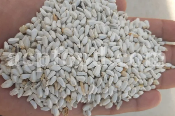 safflower seeds for sale