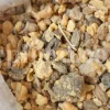 Bulk Ferula Persica Gum for sale. Sagapenum in bulk. Ferula persica resin wholesale price. Sagapenum purchase.