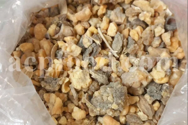 Bulk Ferula Persica Gum for sale. Sagapenum in bulk. Ferula persica resin wholesale price. Sagapenum purchase.