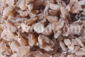 Salep for sale. Buy pure Sahlep. Orchis mascula for sale. Orchis maculata wholesale price. Early Purple Orchid for sale.