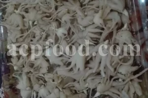 Salep for sale. Buy pure Sahlep. Orchis mascula for sale. Orchis maculata wholesale price. Early Purple Orchid for sale.