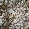 Salep for sale. Buy pure Sahlep. Orchis mascula for sale. Orchis maculata wholesale price. Early Purple Orchid for sale.
