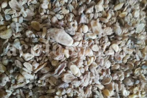 Salep for sale. Buy pure Sahlep. Orchis mascula for sale. Orchis maculata wholesale price. Early Purple Orchid for sale.