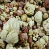 Bulk Sarcocolla Gum for sale. Astragalus Sarcocolla Gum Wholesaler, Supplier, Exporter and Provider. Buy High Quality Anzaroot with the Best Price.