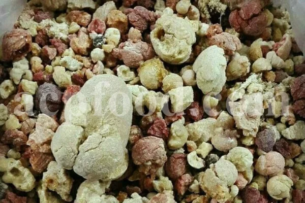 Bulk Sarcocolla Gum for sale. Astragalus Sarcocolla Gum Wholesaler, Supplier, Exporter and Provider. Buy High Quality Anzaroot with the Best Price.