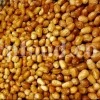 Russian Olives for sale. Elaeagnus angustifolia for sale. Buy Russian Olive. Buy Senjed. Bulk dried Oleaster for sale.