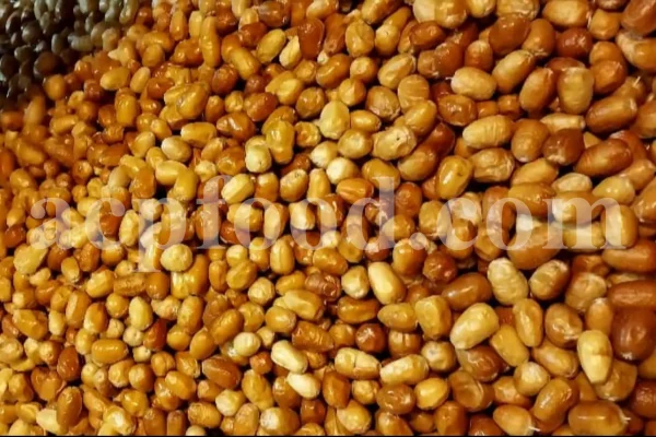 Russian Olives for sale. Elaeagnus angustifolia for sale. Buy Russian Olive. Buy Senjed. Bulk dried Oleaster for sale.