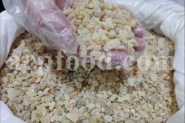 Mastic tree gum. Mastic gum for sale. Mastic gum bulk. Buy mastic gum. Pistacia terebinthus resin for sale.
