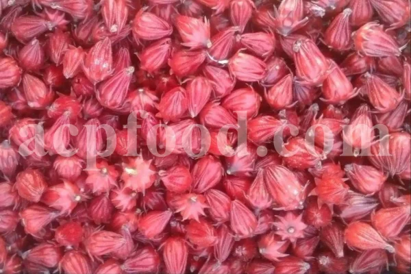 Roselle dried flowers for sale. Dried Rosella flowers. Roselle where to buy. Buy Hibiscus. Hibiscus purchase. Hibiscus flowers near me. Buy hardy Hibiscus. Buy Hibiscus flower. Hardy Hibiscus seeds for sale. Dried Hibiscus flowers wholesale. Whole dried Hibiscus flowers. Buy Hibiscus sabdariffa. Buy Rosella seeds. Hibiscus sabdariffa for sale. Buy Roselle hibiscus. Sorrel Hibiscus sabdariffa for sale.