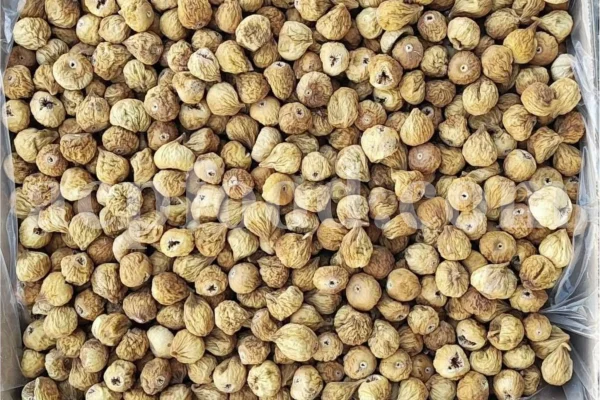 Bulk dried figs being weighed before shipment