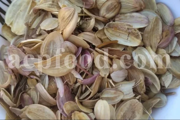 Buy Asafetida Hing. Ferula assa gum for sale. Hing wholesale price. Best quality Asafoetida. Kokh Asafetida for sale.
