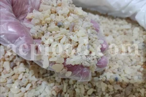 Mastic tree gum. Mastic gum for sale. Mastic gum bulk. Buy mastic gum. Pistacia terebinthus resin for sale.