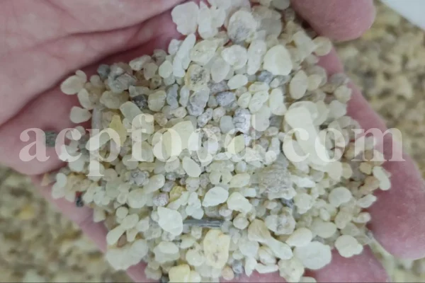 Shirazi Mastic Tree Gum wholesale. Terebinth Resin For Sale. Buy Mastic resin.