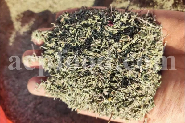 Thyme dried leaves for sale. Bulk dried Thyme leaves. Dried thyme herb wholesale price. Buy Thyme leaves dried.