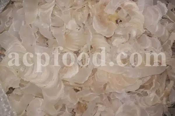 Buy Gum Tragacanth. Tragacanth Gum price. Buy Gond Katira. Katira price. Katila Gum wholesale price. Astragalus gummifer gum for sale. Astragalus gum purchase.