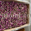 The best quality Rosa damascena buds for sale. Damascena Rose wholesale price. Buy Damascina Rose. Bulk Rosa Damask buds and petals. Wholesale R Damascena. Damask Rose purchase.
