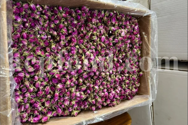 The best quality Rosa damascena buds for sale. Damascena Rose wholesale price. Buy Damascina Rose. Bulk Rosa Damask buds and petals. Wholesale R Damascena. Damask Rose purchase.
