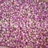 The best quality Rosa damascena buds for sale. Damascena Rose wholesale price. Buy Damascina Rose. Bulk Rosa Damask buds and petals. Wholesale R Damascena. Damask Rose purchase.