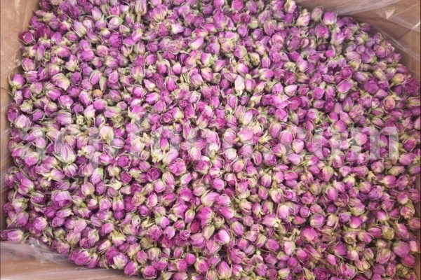 The best quality Rosa damascena buds for sale. Damascena Rose wholesale price. Buy Damascina Rose. Bulk Rosa Damask buds and petals. Wholesale R Damascena. Damask Rose purchase.