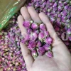 The best quality Rosa damascena buds for sale. Damascena Rose wholesale price. Buy Damascina Rose. Bulk Rosa Damask buds and petals. Wholesale R Damascena. Damask Rose purchase.