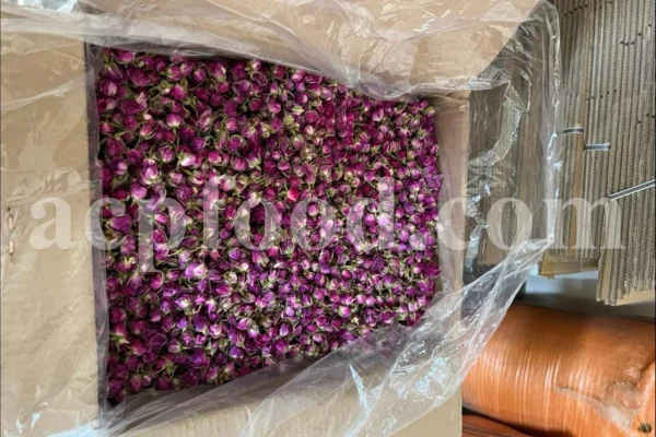 The best quality Rosa damascena buds for sale. Damascena Rose wholesale price. Buy Damascina Rose. Bulk Rosa Damask buds and petals. Wholesale R Damascena. Damask Rose purchase.