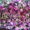 The best quality Rosa damascena buds for sale. Damascena Rose wholesale price. Buy Damascina Rose. Bulk Rosa Damask buds and petals. Wholesale R Damascena. Damask Rose purchase.