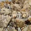 White Fasoukh for sale. Buy ferula communis plant resin. Giant fennel plant gum wholesale price.