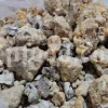White Fasoukh for sale. Buy ferula communis plant resin. Giant fennel plant gum wholesale price.
