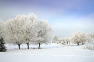 Temperament of the Seasons