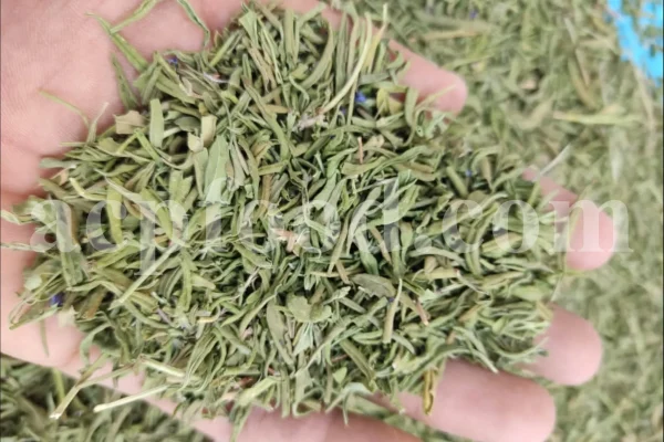 Hyssop wholesale. Hyssopus officinalis dried leaves. Common hyssop dried flowers. Buy hyssop. Hyssop for sale. Hyssop price. Agastache for sale. Hyssop seeds for sale. Buy hyssop near me. Hyssop buy online.