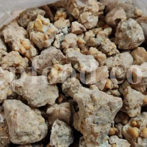 Bulk gum ammoniac for export in natural resin pieces