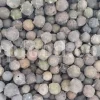 Oak galls wholesale. Acorn gall for sale. Buy acorn plum gall. Aleppo gall for sale. Aleppo oak galls in bulk. Apple gall price. Purchase apple oak gall. California oak galls for sale. Buy fuzzy oak gall. Bulk green oak gall. Oakgalls wholesale. Quercus infectoria gall price.