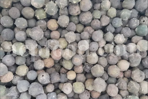 Oak galls wholesale. Acorn gall for sale. Buy acorn plum gall. Aleppo gall for sale. Aleppo oak galls in bulk. Apple gall price. Purchase apple oak gall. California oak galls for sale. Buy fuzzy oak gall. Bulk green oak gall. Oakgalls wholesale. Quercus infectoria gall price.