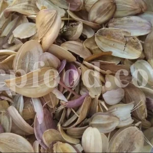 Authenticated asafoetida seeds for export from a traceable seed lot